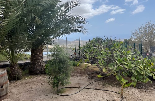 El Madronal House | Vacation Home 'Mi Casita De Chimaca' with Mountain View, Wi-Fi and Air Conditioning