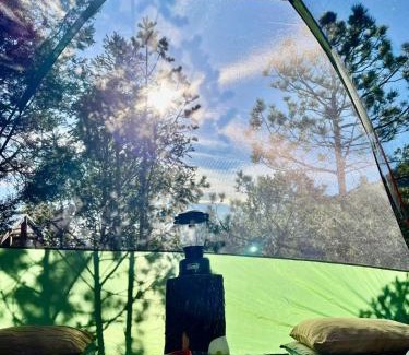 Arteaga Resort | Camping en la Sierra de Arteaga