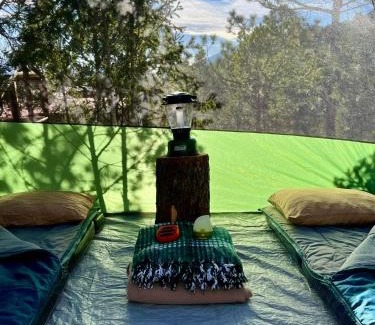 Arteaga Resort | Camping en la Sierra de Arteaga