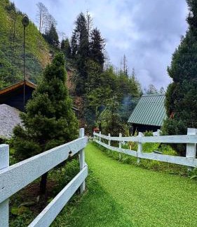 Ayder Yaylasi Apartment | Dağ Evleri