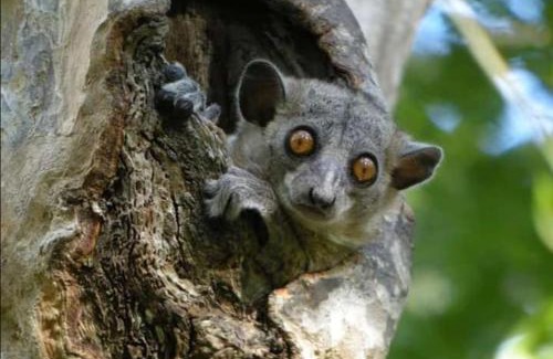 Morondava Other | Madagascarmystery Tour Operator