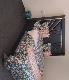 Dal Lake House | Gani Villa