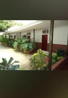 Sur Oriente Hotel | Hotel Flamingo INN