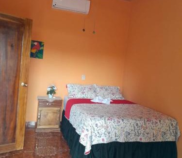 Punta Mango House | Hostal Adonis