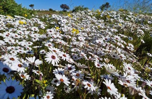 Shelley Point House | Sababa 2 Bedroom Cottage