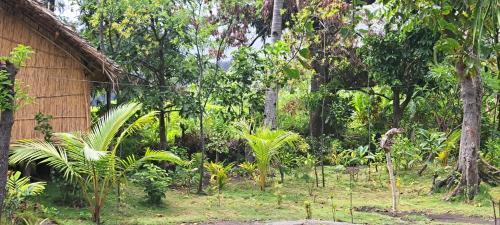 Tanna Island House | White Sand Ocean View Bungalow and Tours