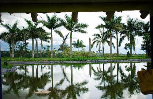 Filandia Apartment | Cabañas familiar de encanto