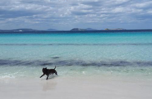 Goode Beach Other | Goode Beach Pelican Glamping