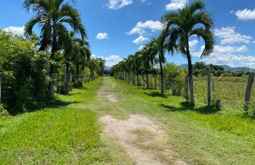 Espinal Villa | Finca Esperanza en Girardot - El Espinal