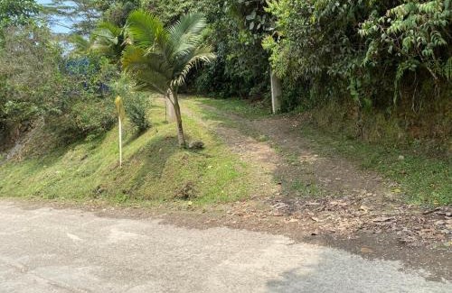 La Vega House | San Luis