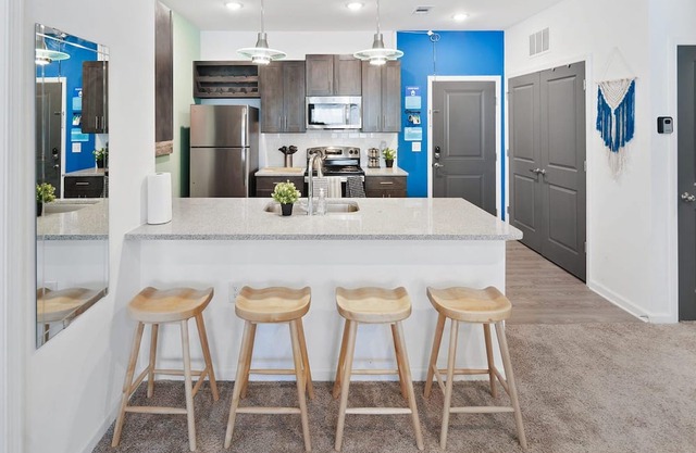 South Asheville Getaway 2 BDR Apt Gym Pool