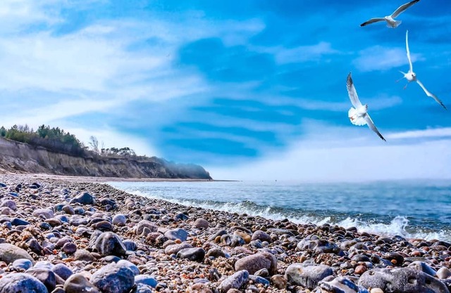 Bungalow Village Sea or Less - Category 2 No.13 - Ferienpark Bakenberg