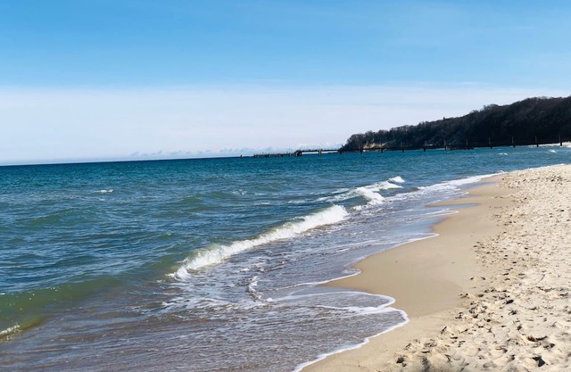 Vacation apartment/apartment for 4 guests with 64m² in Mariendorf (267924)