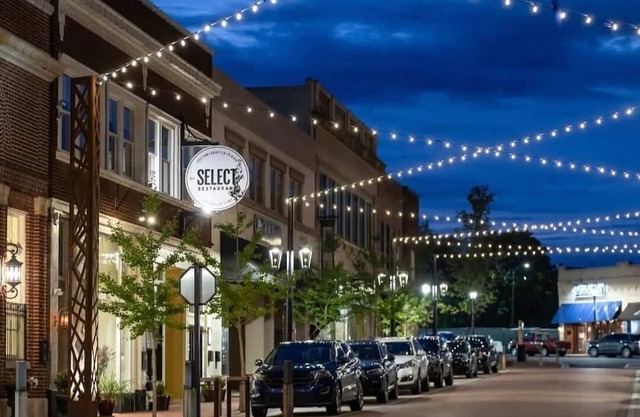 Southern charmer in Greer nhistoric district, walk to downtown