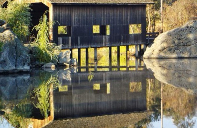 Luxury one bedroom unit with full amenities