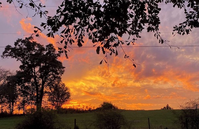 Farm Stay - Spend the night in a converted grain silo on a working tree farm!