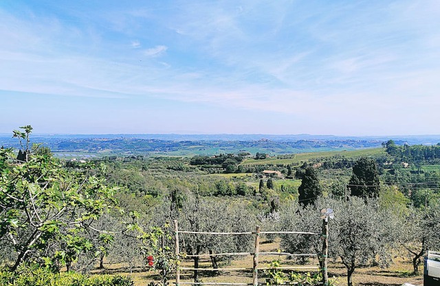 La casina di Colle - Appartamento rustico sulle colline di Pisa