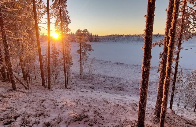 Authentic Lapland Farm, big House, Wilderness and Guided Activities