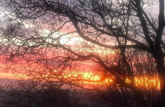 cozy, quiet with Mountain View’s . Super friendly hosts.