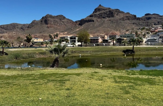 Postcard Picture Views of the Colorado River!