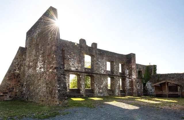 Ferienwohnung Apfelbaum - Fewo Apfelbaum