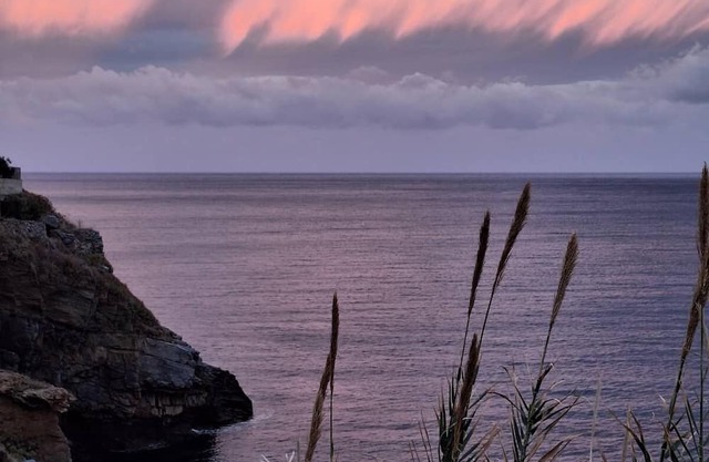 Bella Vista GuesthousenCosy studio apt. w/sea view, front yard,10' to Evdilos