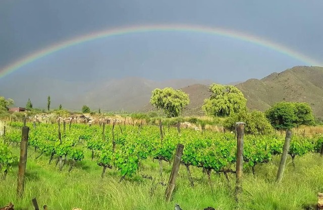 Cabañas DE Adobe AL PIE DE LA Cordillera DE LOS Andes