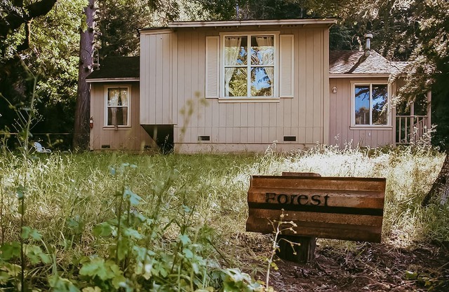 Idyllic wine country cottage surrounded by fir & oak trees - water view patio