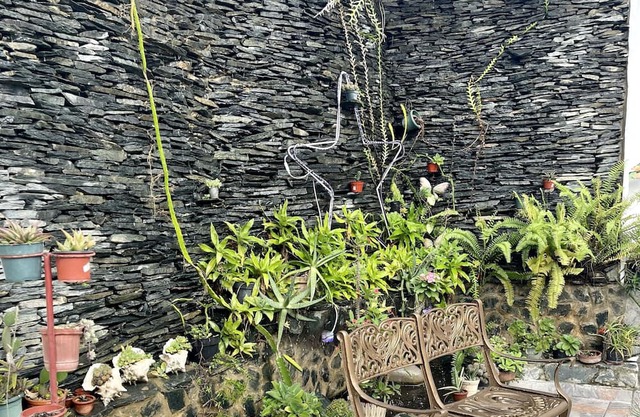 Aparta Hotel las Mariposas