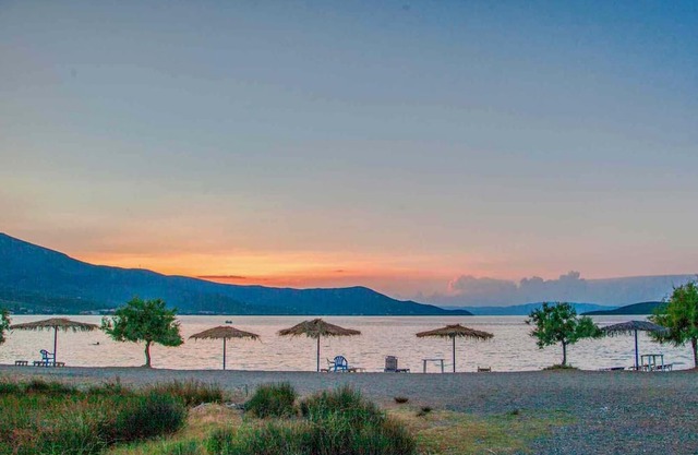 Goddess Athena Apartment