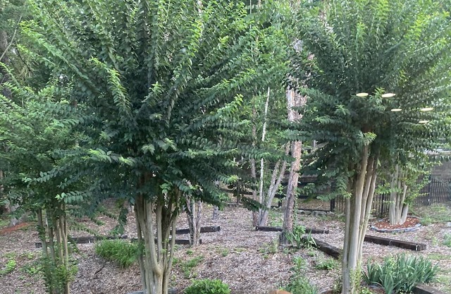 Fantastic location. This home beats any hotel. Easy check-in and check-out …