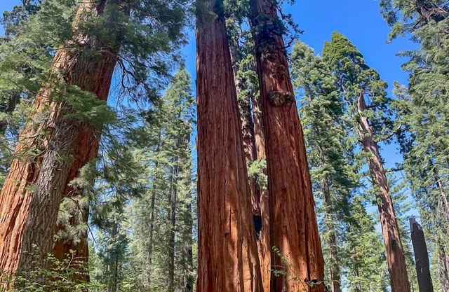 Mokelumne Mountain House