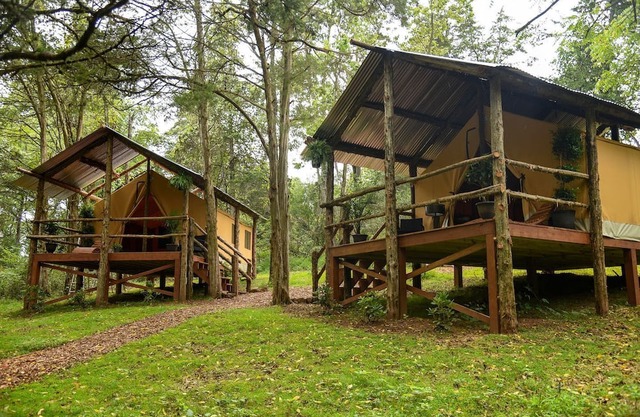 Luxury Safari Style Tents for Getaways in Pennsylvania