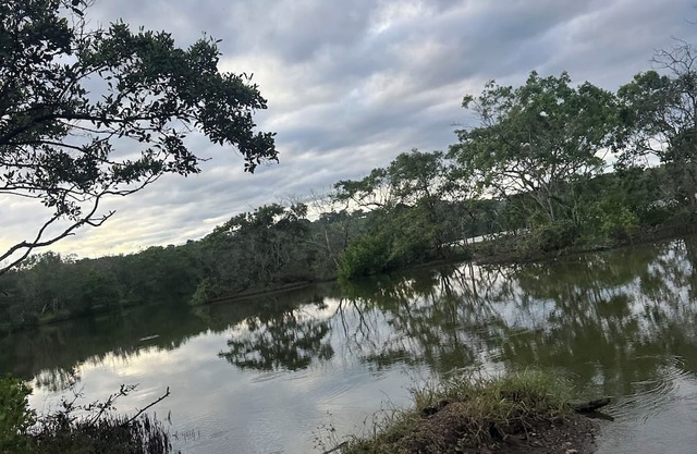 Sunset views with Macaws in the jungle in beautiful Bajamar