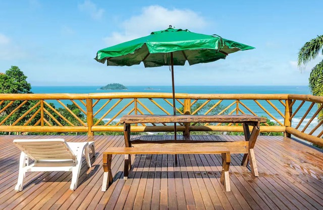 Owl SuitenObservação de aves na mata atlantica brasileira