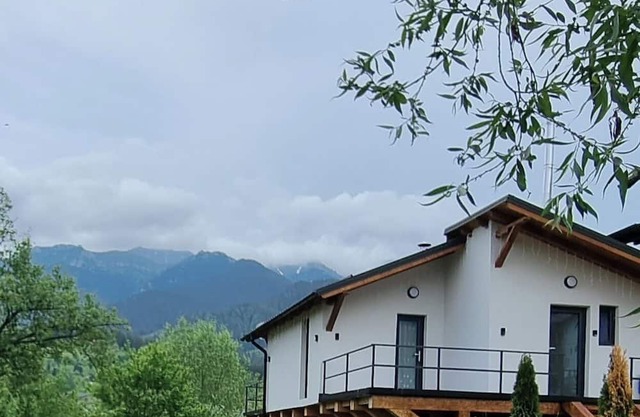 Charming Cabin Bran 1-bedroom cabin