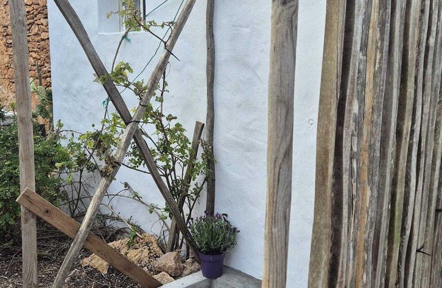 Rural house (Casa tia Rita)