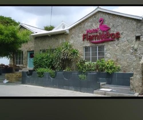 Hotel Flamingo INN