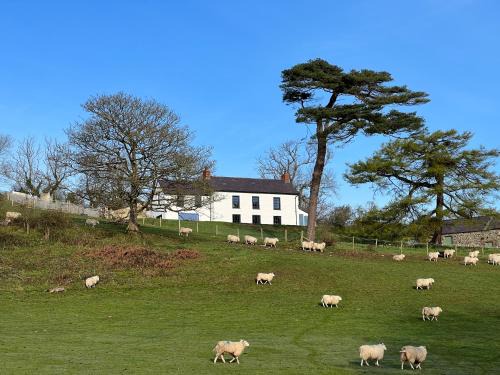 The Dyffryn