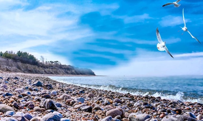 Bakenberg Apartment | Bungalow Village Sea or Less - Category 1 No. 3 - Ferienpark Bakenberg