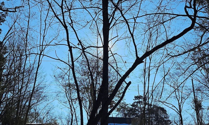 Roanoke Cabin | Charming 2-bedroom cabin only a few minutes from downtown Roanoke attractions.