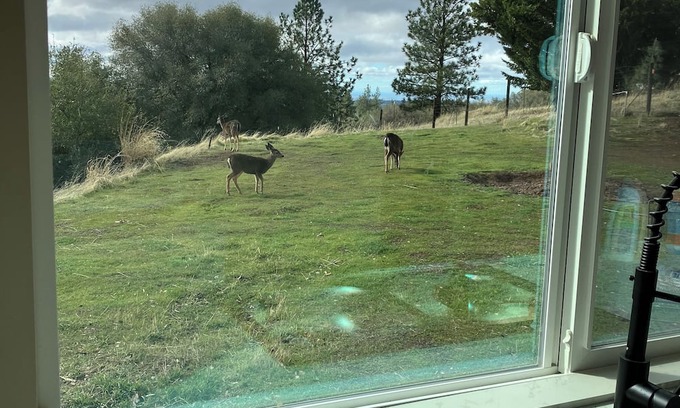 Fiddletown Cabin | Cottage at Deer Run