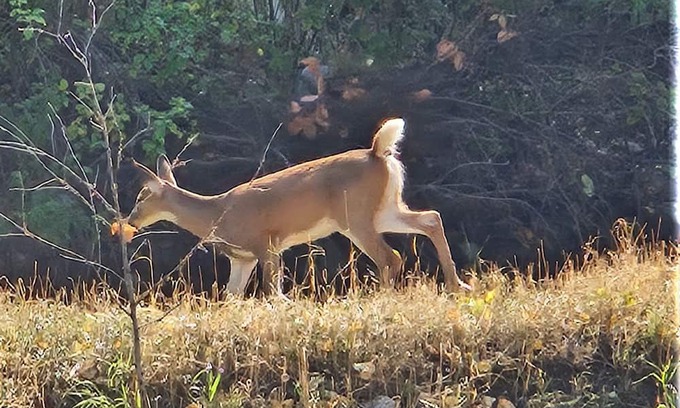 Absarokee House | Spacious 4-bedroom house in charming Absarokee with WiFi, AC, walk downtown