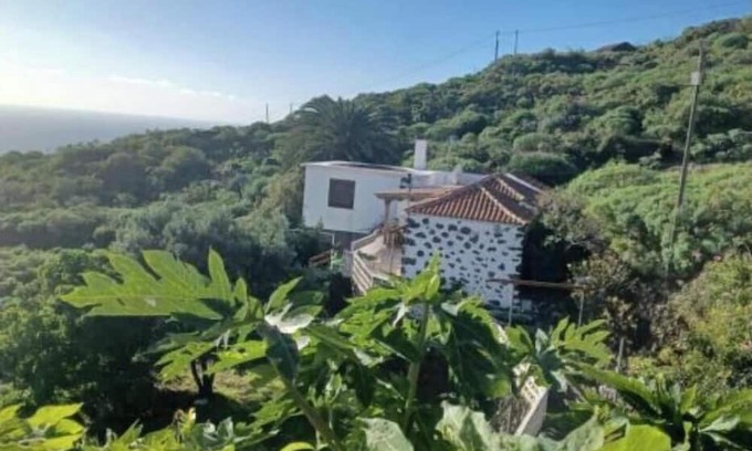 Villa de Mazo House | Olivo de Mazo 2 Rural House