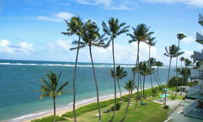 Punaluu Apartment | Palm Beachfront | Amazing view, Pool, beach gear