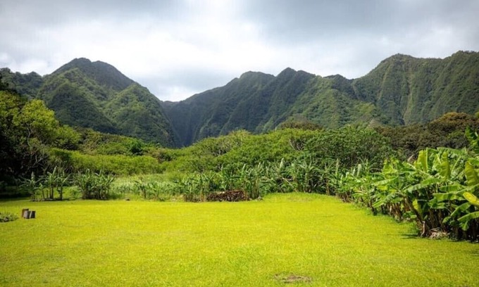 Punaluu Cabin | Majestic Cabin Stay