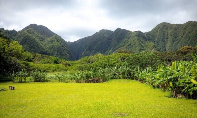 Hauula Apartment | Hawaii Oasis Yurt