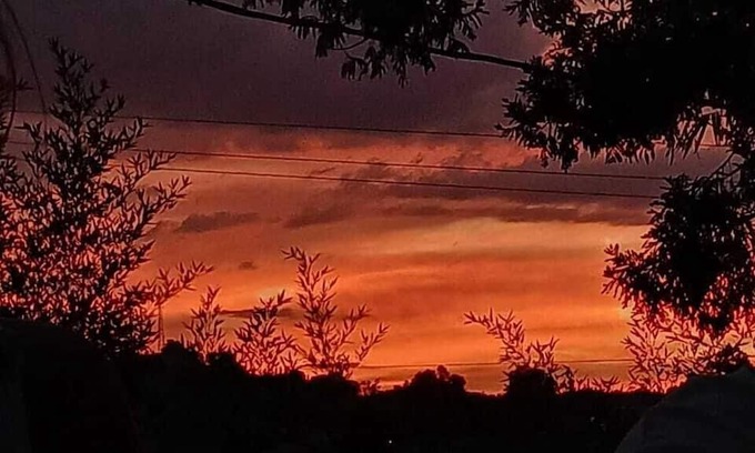 Manizales Cabin | Entre Pinos Hostal