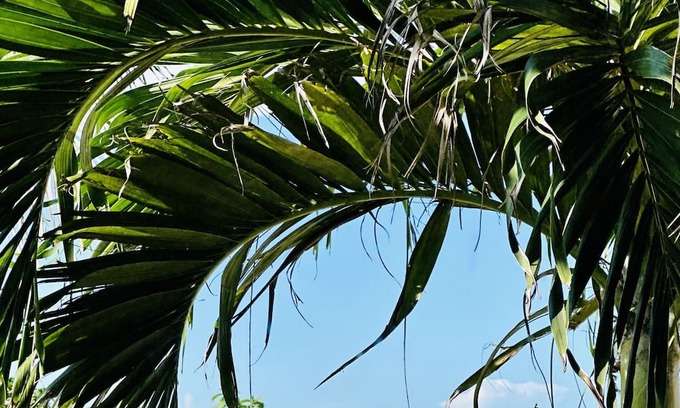 Sisal Apartment | Beachfront studio in Sisal