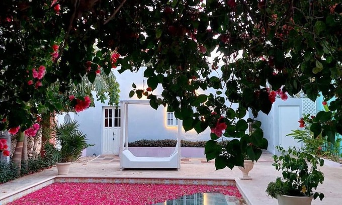 Centro Villa | Luxury Colonial Villa Downtown Mérida